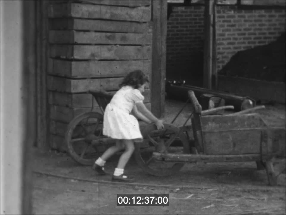 FILM DE FAMILLE ROBERT