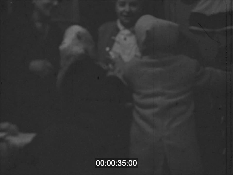 OUVERTURE DES CADEAUX DE NOEL