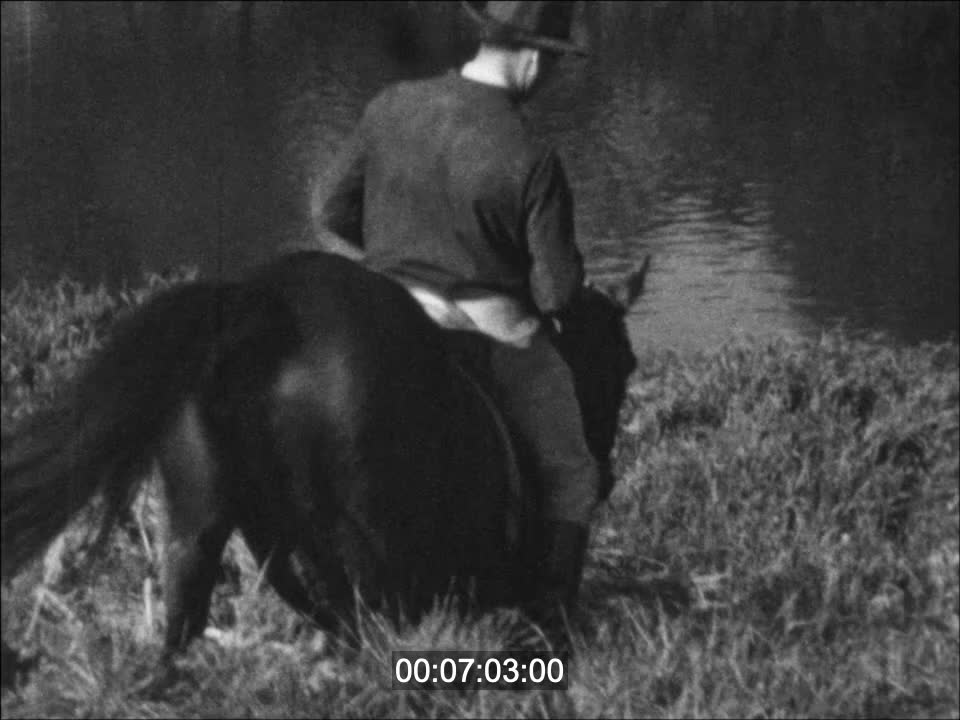 CHEVAL